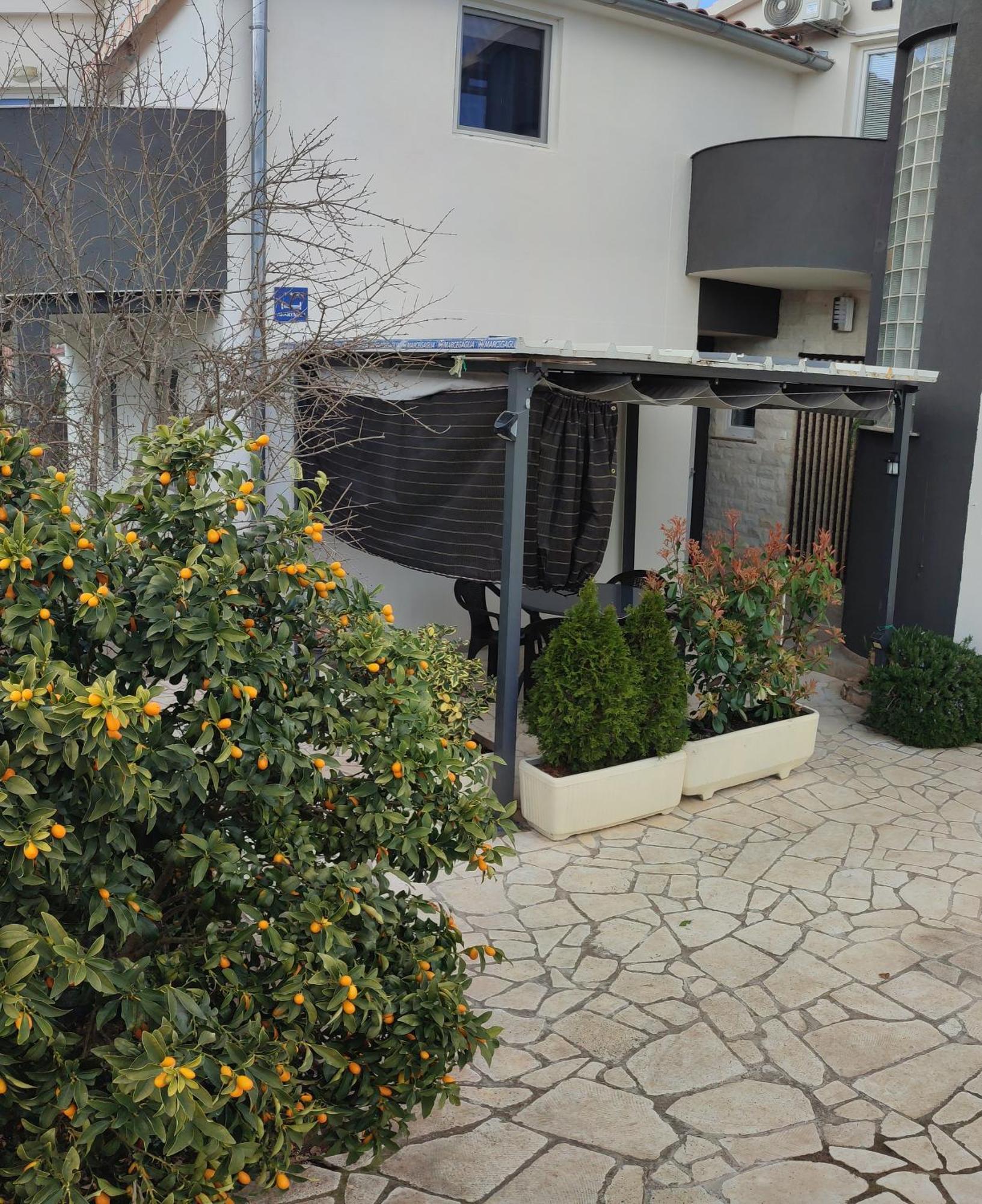 Apartment Anita Fažana Dış mekan fotoğraf