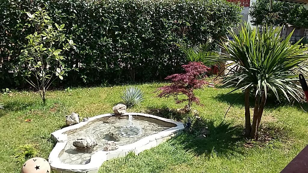 Apartment Anita Fažana Dış mekan fotoğraf